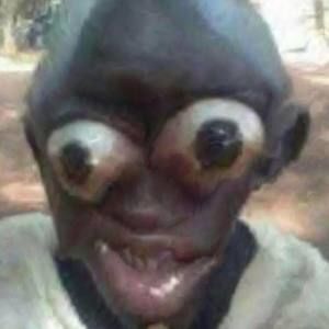 Meet your Posher, Martin